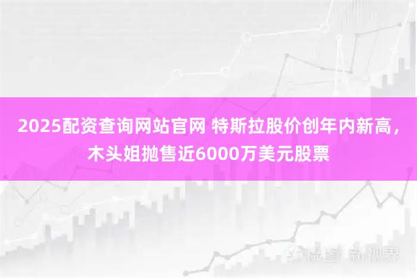 2025配资查询网站官网 特斯拉股价创年内新高，木头姐抛售近6000万美元股票