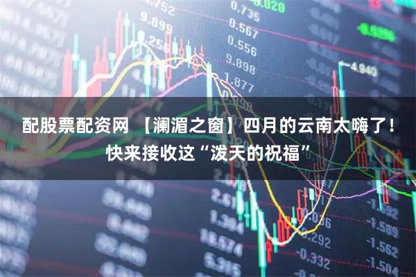 配股票配资网 【澜湄之窗】四月的云南太嗨了！快来接收这“泼天的祝福”